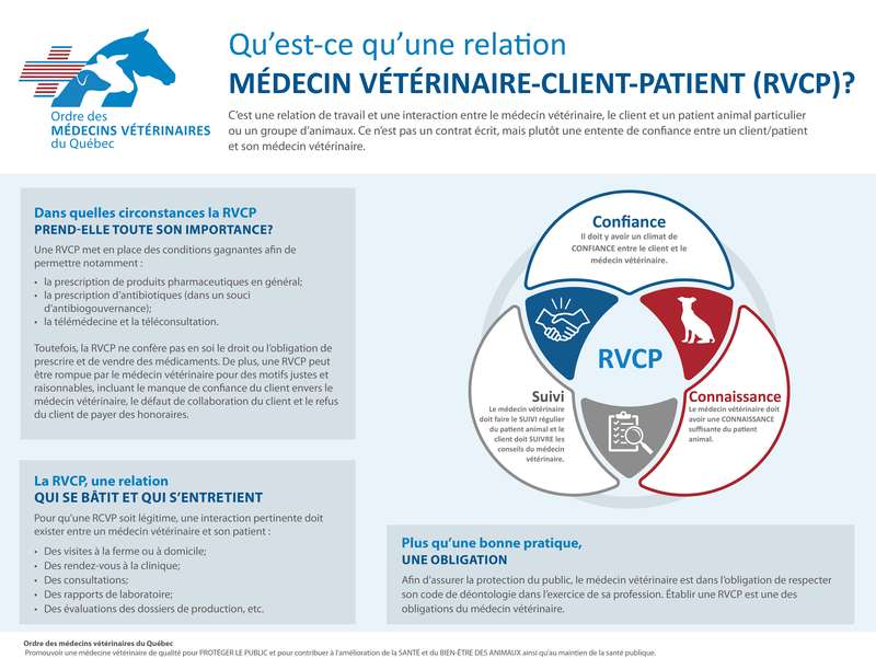 Relation médecin vétérinaire - client - patient