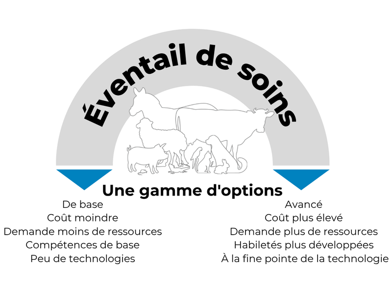 Guide_eventail-de-soin