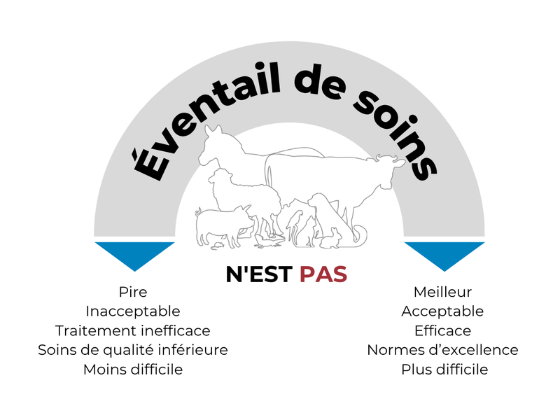 Guide_eventail-de-soin