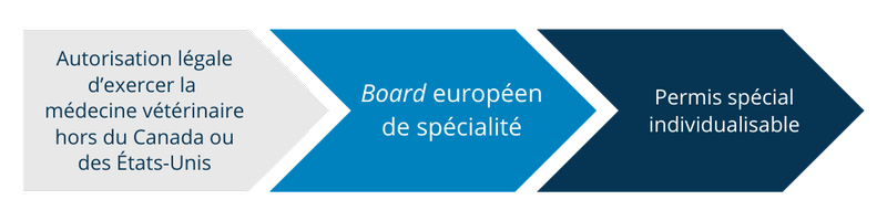 Processus d’admission pour les médecins vétérinaires formés à l’étranger détenteurs d’un board européen