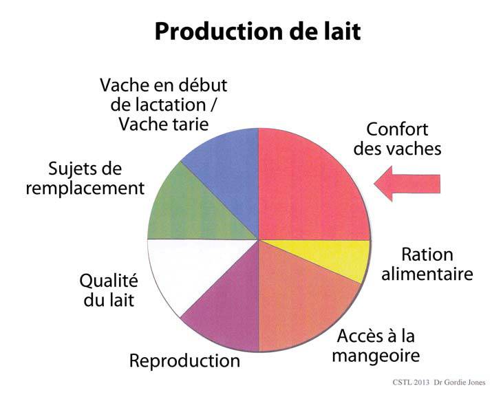 Ratio - Production de lait