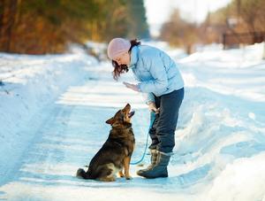 L’exercice au quotidien, un incontournable pour la santé physique et mentale de votre chien