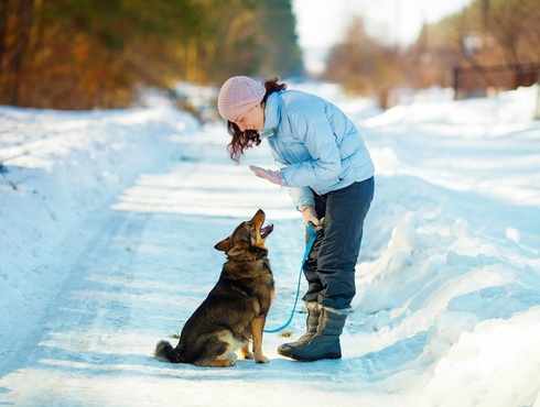 L’exercice au quotidien, un incontournable pour la santé physique et mentale de votre chien