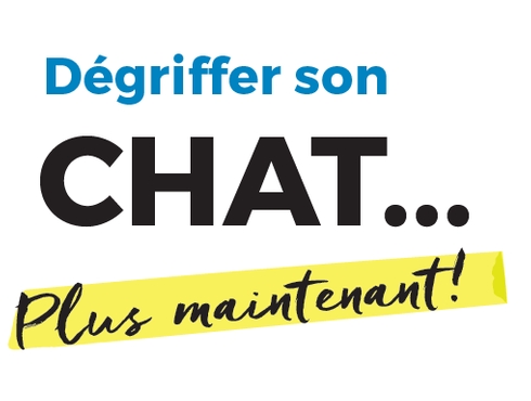 Dégriffer son chat : plus maintenant !