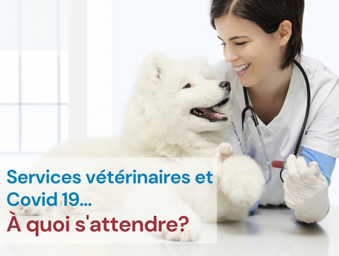 COVID-19 et services vétérinaires