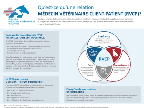 Qu’est-ce qu’une relation MÉDECIN VÉTÉRINAIRE-CLIENT-PATIENT (RVCP)?