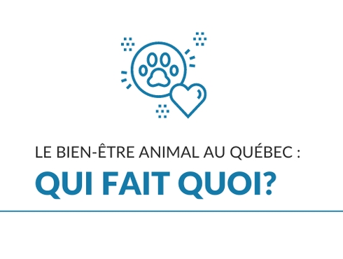 Le bien-être animal : qui fait quoi?