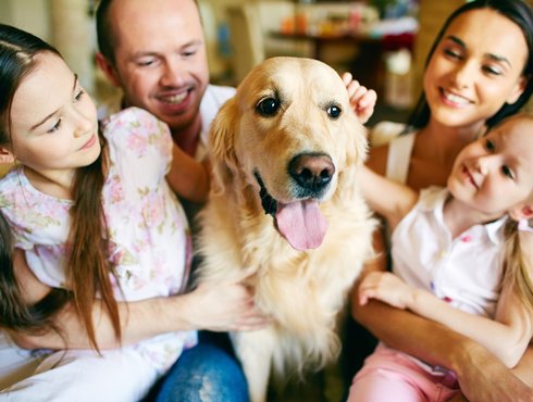 Quand nos animaux peuvent aussi transmettre des maladies