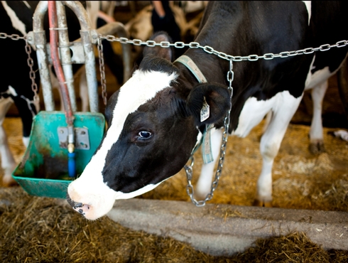 Usage judicieux des antibiotiques