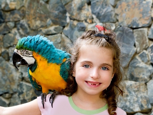 Bien choisir son oiseau de compagnie