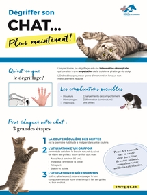 Affiche : Dégriffer son chat... Plus maintenant!