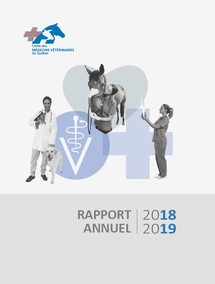 Rapport annuel 2018-2019