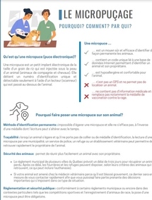 Le micropuçage - Pourquoi? Comment? Par qui?