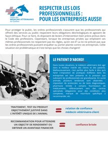 Respecter les lois professionnelles : pour les entreprises aussi!