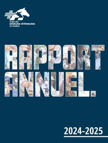 Rapport annuel 2024-2025