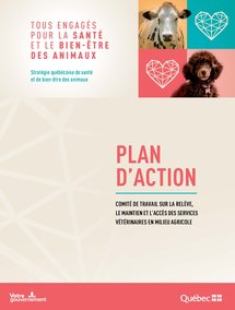 Plan d'action - comité de travail sur la relève, le maintien et l'accès des services vétérinaires en milieu agricole