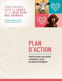Plan d'action - comité de travail sur la relève, le maintien et l'accès des services vétérinaires