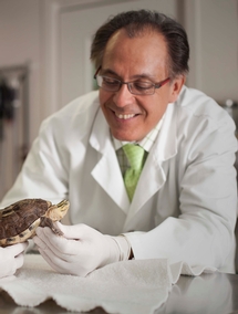 Dr Jean Gauvin, m.v.