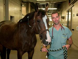 L’Ordre décerne le Prix d’excellence TSA 2016 à M. Yves Quintal, TSA