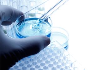 Le gouvernement du Canada investit dans une approche mondiale de lutte contre la résistance aux antimicrobiens