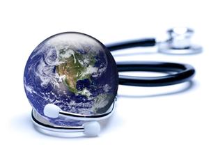 Barrière à la mobilité : les médecins vétérinaires et les ordres professionnels demandent au gouvernement d’agir