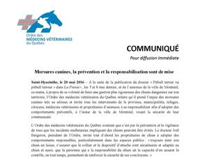 Mai 2016 : Morsures canines, la prévention et la responsabilisation sont de mise