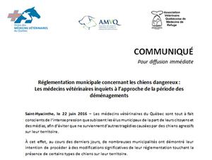Réglementation municipale concernant les chiens dangereux : Les médecins vétérinaires inquiets à l’approche de la période des déménagements