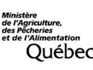 Loi sur le bien-être et la sécurité de l’animal : capsules d'information en ligne