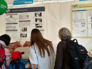 Journée Portes ouvertes sur les fermes… les médecins vétérinaires étaient au rendez-vous!