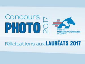 Gagnants du concours photo 2017