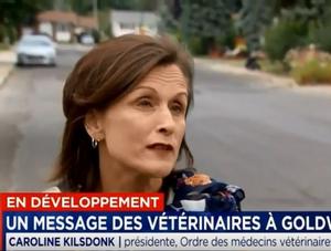 L’Ordre des médecins vétérinaires rappelle que la sécurité publique est une priorité
