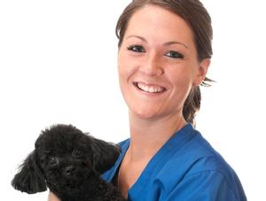 Semaine nationale des techniciens en santé animale