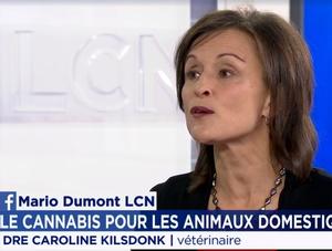 Cannabis pour les animaux domestiques...
