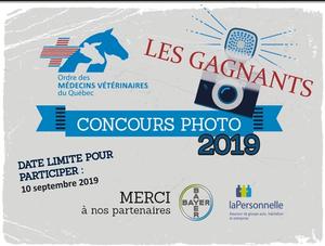 Gagnants du concours photo 2019