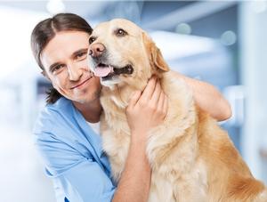 Célébrons la Semaine nationale des techniciens en santé animale!