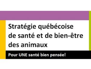 Assemblée générale annuelle 2019 des partenaires de la stratégie québécoise de santé et bien-être des animaux et prix « Coup de chapeau » 2019
