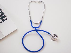Les médecins vétérinaires du Québec misent sur les services essentiels