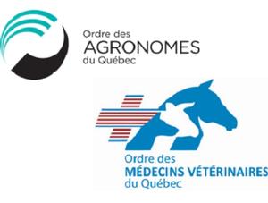 Suppléments dérivés de l’huile de palme dans l’alimentation des bovins laitiers