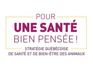 Les poules en ville : pour assurer la santé de tous!