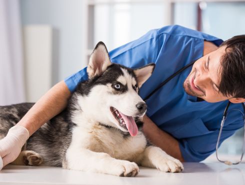 Lancement de l’appel de candidatures pour les Prix de reconnaissance du mérite 2026