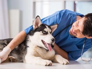 Lancement de l’appel de candidatures pour les Prix de reconnaissance du mérite 2026