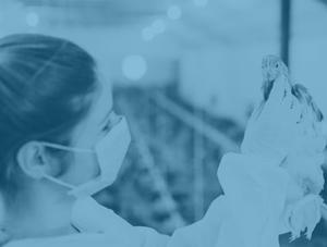 Dépôt d’un mémoire sur le projet de règlement sur les aliments