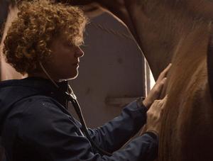 5 histoires de la médecine vétérinaire