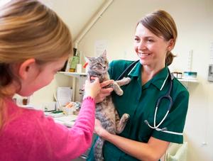 La Semaine nationale de la stérilisation animale au Québec bat son plein!
