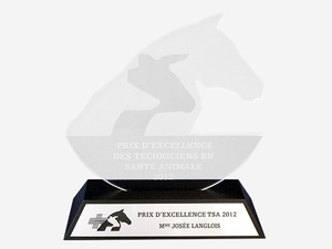 Le Prix d'excellence TSA